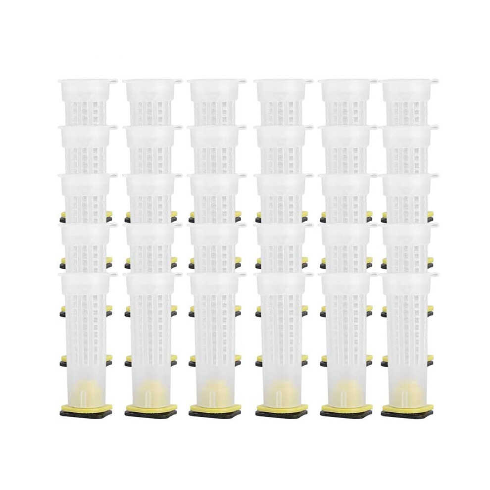 Beekeeping Cup Kit-Cage Beekeeping Equipment Bee Cage Holder Fixture, 30 Pieces (Size: 30 X Cage Beekeeper) 4713314091812