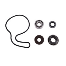 Water Pump Bearing Seal Rebuild Kit for Sportsman 700 800 Ranger 700 800 RZR 800 3610075