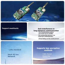 Module Réseau Meshtastic LoRa NF52840+SX162 avec Radios GPS LoRa et 5.0 30 DBm 868 MHz
