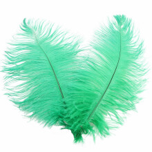 Ostrich Feathers for Wedding Decor, Stage Costumes & DIY Crafts – Grass Green, Compatible with Floral Arrangements