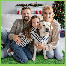 4 Pcs Dog Grass Pads for Dogs 18" X 23" Artificial Washable Heavy Absorbency Turf for Potty Training