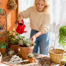 Seedling Starting Pellets 100 Piece Potting Discs 30mm Seedling Starting Planting for Indoor Gardening Outdoor Flower