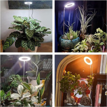 Plant Grow Light 3 Pack, for Indoor Plants, Adjustable Height, 3 Spectrum Modes, Auto Timer 3/9/12H, 10 Dimmable Levels