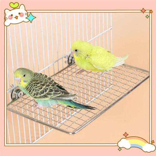Perch Platform - Stainless Steel Exercise Bird Shelf for Small to Large Parrots 1