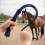 Lunging Whip for Horses, Silicone, Comfortable Grip, Ideal for Training and Stage Performances 3