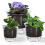 Conjunto de 3 Vasos de Plantas de 6/5/4 Polegadas, Vasos Autoirrigáveis com Reservatório e Corda de Algodão Absorvente. 3