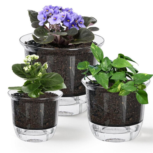 Conjunto de 3 Vasos de Plantas de 6/5/4 Polegadas, Vasos Autoirrigáveis com Reservatório e Corda de Algodão Absorvente. 2