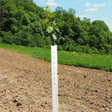 48 Inch Kweekbuis voor Zaailingen, Geventileerde Beschermers voor Zaailingen, Gesplitste Boomkweekbeschermer met Afneembare Kabelbinders