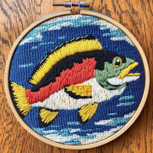 Nålhålssats för basfiskmönster 20x20cm nybörjarset