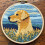 Κιτ βελόνας τρυπήματος κίτρινου Labrador – 20x20cm για αρχάριους 1