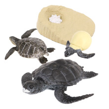 Simulatie Schildpad Dierenlevenscyclus, Schildpad Dierengroeicyclus Model Dierengroeicyclus Educatief Kinderspeelgoed B