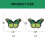 Parches termoadhesivos bordados de mariposas (10 unidades) 3