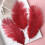 Ostrich Feathers Colorful DIY Craft 50 pcs 3