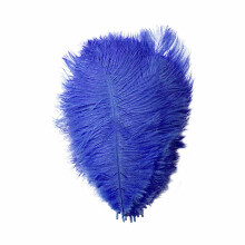 Decoração de parede com penas, adereço de palco colorido, 23 cm