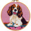 Punch Needle Kit Cartoon Cocker Spaniel 20x20cm 1