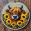 Nålstanskit Highland Cow Solrosor 20x2cm 1