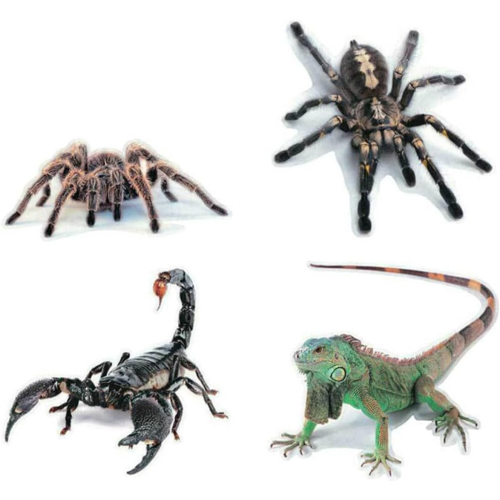 3D Animal Car Stickers Set 4Pcs Â Realistic Scorpion, Lizard, And Spider Pvc Decal For Vehicle Decoration Black/Red 8686962953091
