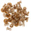 Car Push Rivets 30Pcs Beige Plastic Clips for Interior Ceiling Headliner Panel Secure Fit Automotive Applications 1