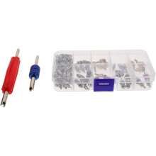 Kit de réparation de 102 pièces pour l'entretien des obus de valve de climatisation automobile, comprenant des obus métalliques.
