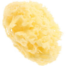 Honeycomb Sponge Natural Bath Sponge for Shower Body Scrubber for Boy Girl and Boys and Girls