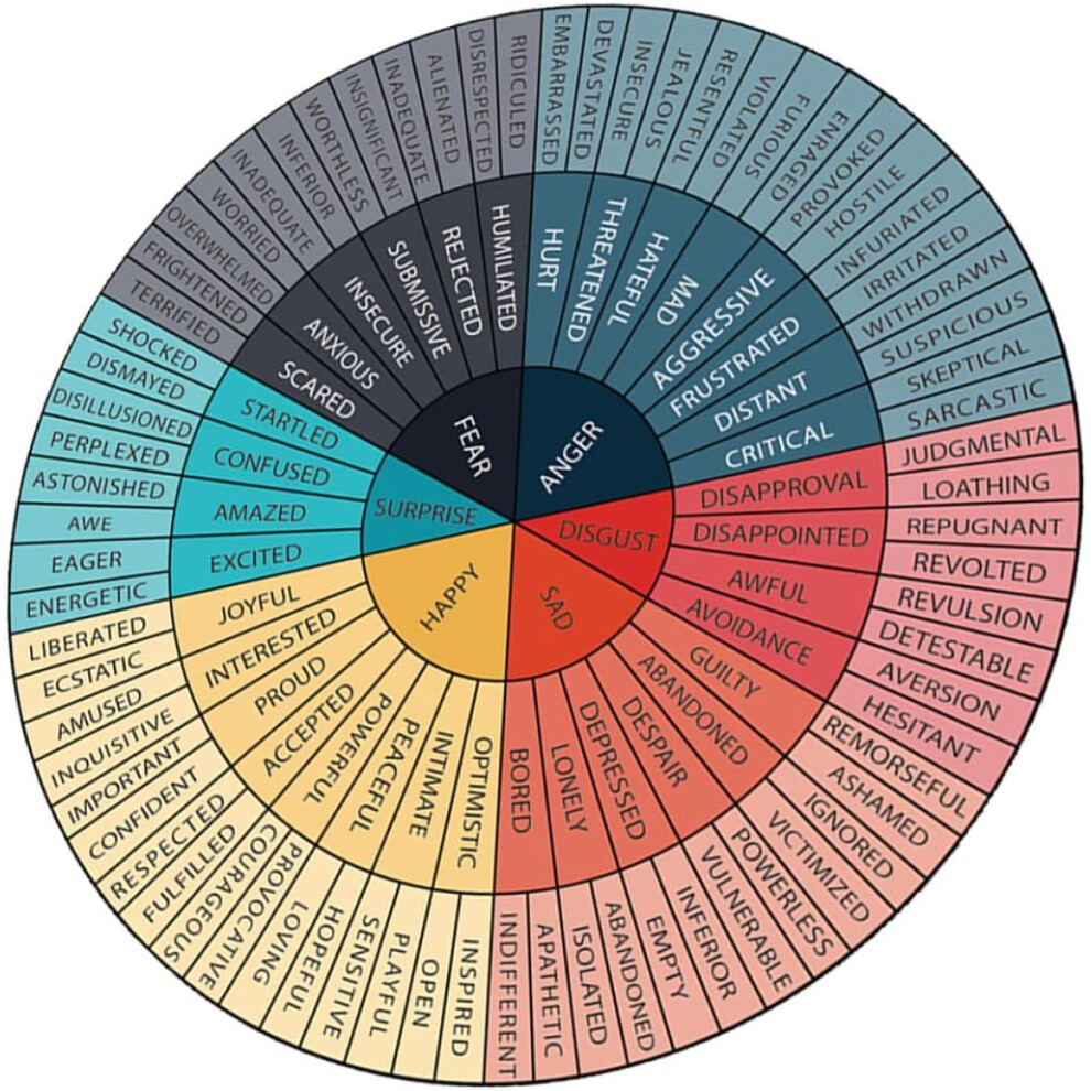 Emotion Wheel Stickers Pvc Feeling Chart Decal Vibrant Designs Promotes Psychological Hkhbjs