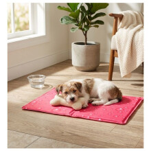 Tappeto rinfrescante per cane 40 x 50 cm Fresk fucsia