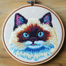 Nålhålskit Ragdoll Katt – Nybörjarbroderiset