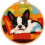 Boston Terrier Punch Needle Kit – DIY Stickset mit 1
