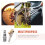 2 Sets 1/4" Internal Thread Copper Locking Tire Air Chuck Zinc-Plated Clip 7