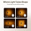 ML-D Magnetic Diffusion Kit for ML-Series LED Lights, Soft 360 Light Modifier for Natural, Balanced Illumination 10