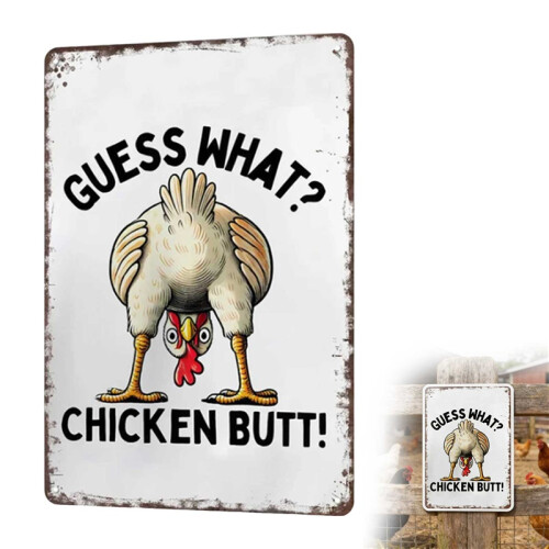 Interesting Sign Plates For Chicken Coops Suitable For Various Chicks Decorations 1