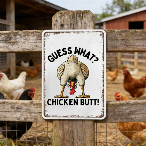 Interesting Sign Plates For Chicken Coops Suitable For Various Chicks Decorations 2