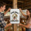 Interesting Sign Plates For Chicken Coops Suitable For Various Chicks Decorations 5