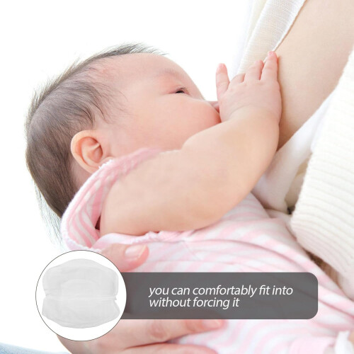 Cúpula de vidro com base para exibição de micro paisagem e flores preservadas 1