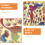 2pcs Ocean Pattern Stickers PVC Wall Decals Assorted Color Reusable Easy to Apply Unique Design 3