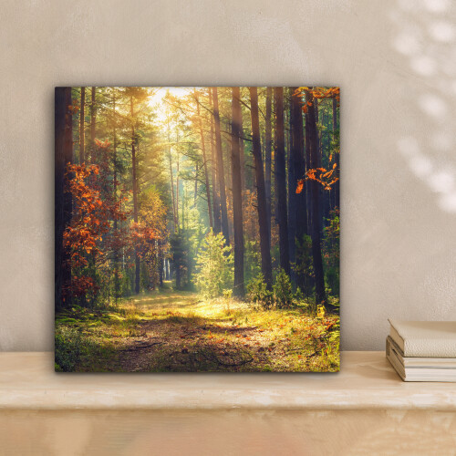 Framed Canvas Wall Art 1