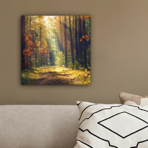 Framed Canvas Wall Art 2