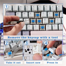 100 Pcs Keyboard Switches, 3-Pin Clicky Tactile Mechanical Keyboard Switches, Complete DIY Replacement Kit