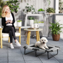 PawHut Raised Dog Bed with Breathable Mesh for S & M Dogs, Light Grey