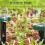 Mole Repellent Squirrel Repellent 20 Pack Ultrasonic Snake Repellent Repeller Sonic Mole Deterrent Spikes 6