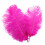 Ostrich Feathers Colorful 30-35cm Decorative Plumes 2
