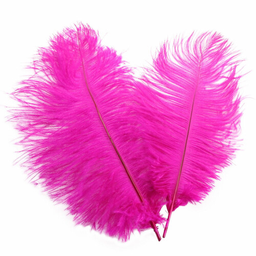 Ostrich Feathers Colorful 30-35cm Decorative Plumes 1