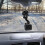 Suction Cup Holder for Dash Cam and Camera Windshield Windscreen Car Suction Cup Mount Stand Holder 6