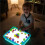 Young Explorers Light Table - Light  Sensory Table for Toddlers, Light Box for Home & Classroom Learning Activities 6