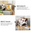 2pcs Cow Pattern Sofa Pillowslip Plush Throw Pillow Covers Reusable 3