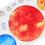 Peel and Stick Nine Planets Wall Sticker Decals para Quarto e Criança 5