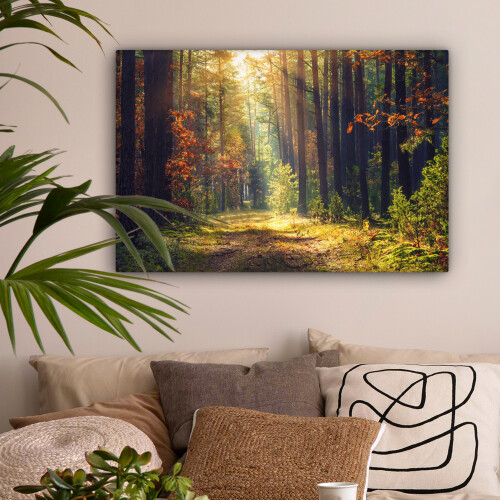 Framed Canvas Wall Art 1