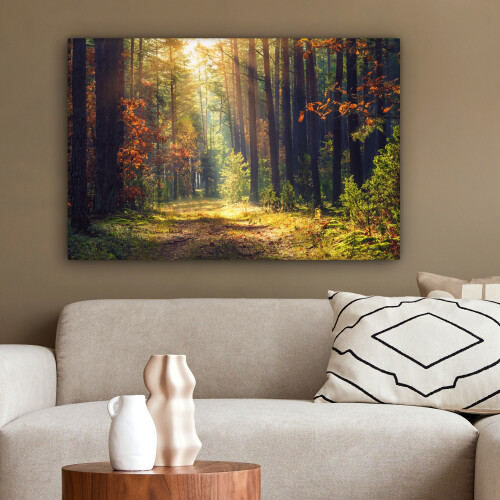 Framed Canvas Wall Art 2