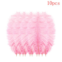 Plumas multicoloridas para centros de mesa de casamento (10 peças)