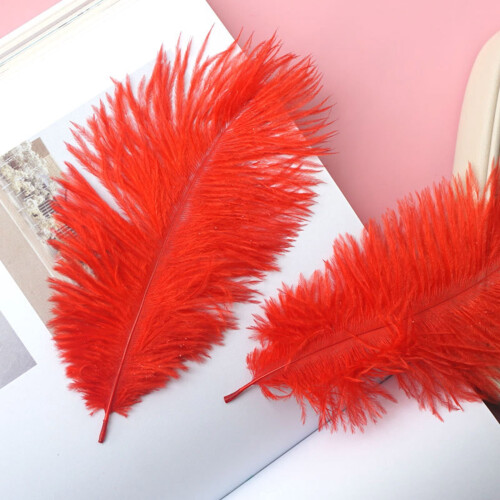 Floating Plume Feathers Natural Multicolor 50-Pack 20-25cm 2